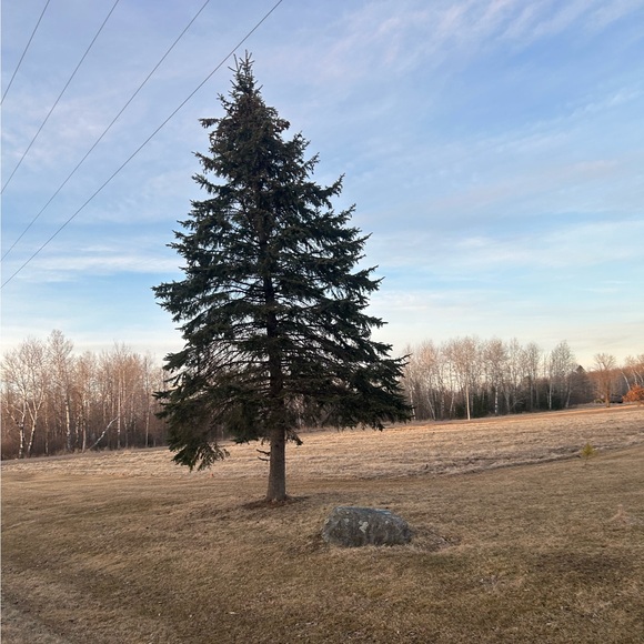 sarahjaneh36